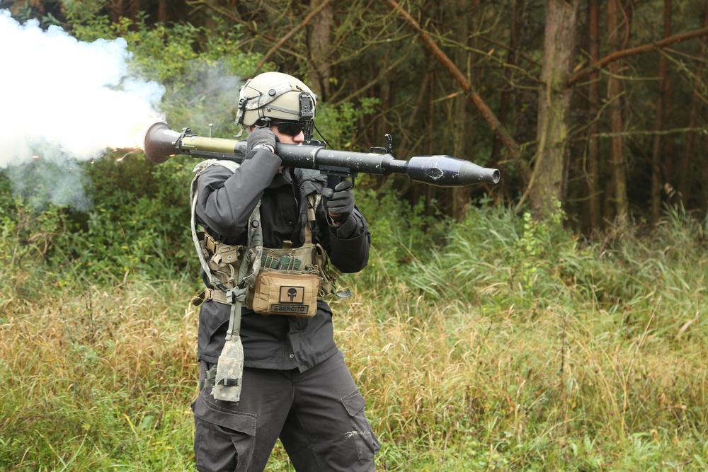 ALLIED SPIRIT V
