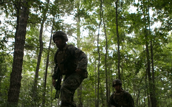 2d MARDIV Infantry Rifle Squad Competition E course