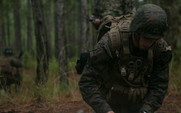 2d MARDIV Infantry Rifle Squad Competition CLS Training