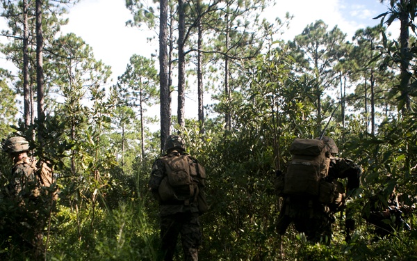 2d MARDIV Infantry Rifle Squad Competition PBOs