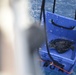 Coast Guard releases endangered turtle