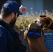 K-9 Ricky is directed by his handler to check areas around the ferry building in San Francisco