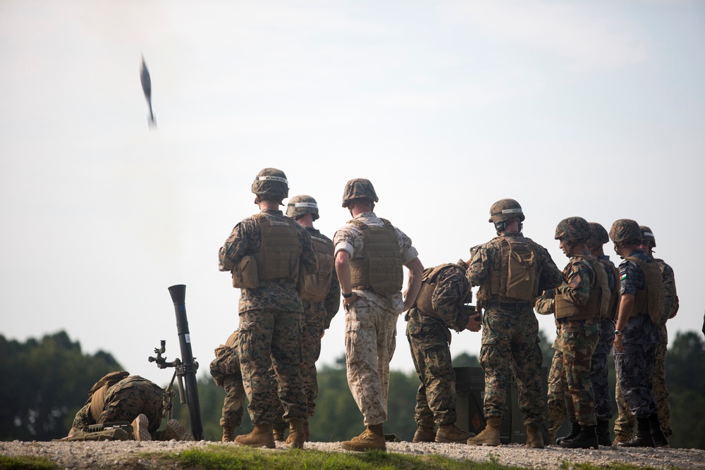 Royal Jordanian Marines Observe USMC Training