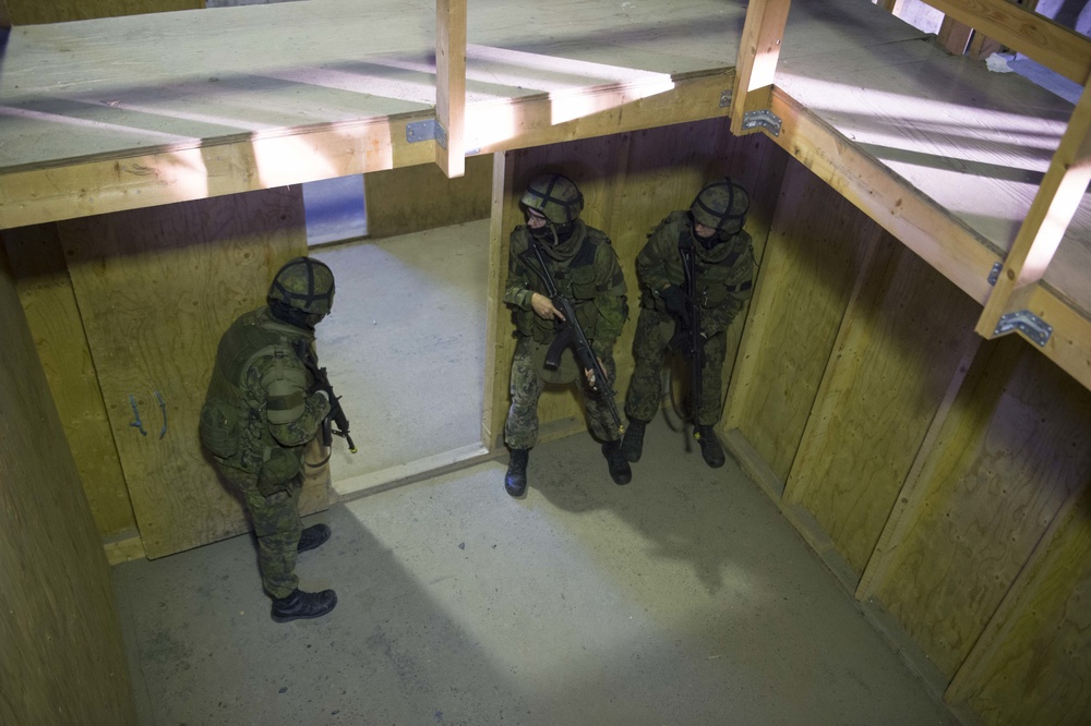 DSD observes Finnish Military Exercise
