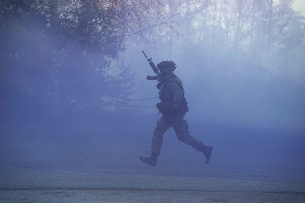 DSD observes Finnish Military Exercise