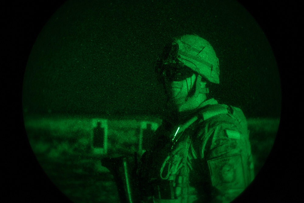 ISF conduct night-fire training