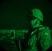 ISF conduct night-fire training