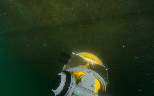 CTG 56.1 conducts Anti-Terrorism Force Protection dive