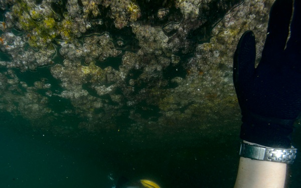 CTG 56.1 conducts Anti-Terrorism Force Protection dive