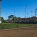 Softball Tournament During San Francisco Fleet Week