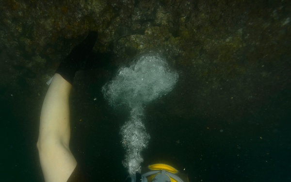 CTG 56.1 conducts Anti-Terrorism Force Protection dive