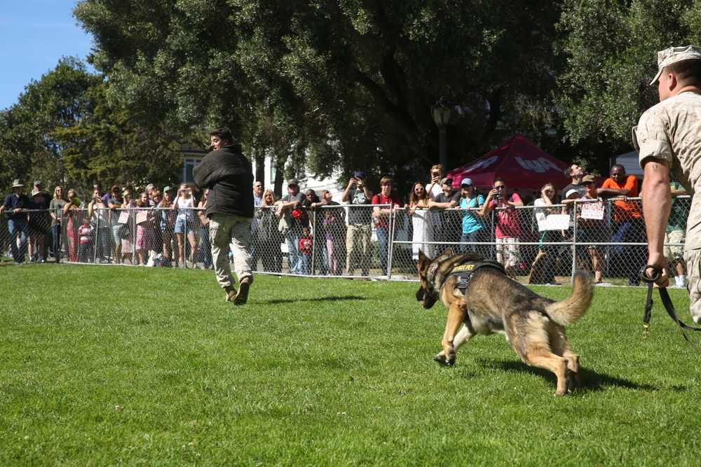 Bark in the Park: K9 Heroes