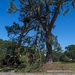 Joint Base Charleston Recovers from Hurricane Matthew