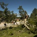 Joint Base Charleston Recovers from Hurricane Matthew