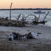 Joint Base Charleston EOD responds to Civil War era UXO