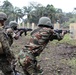 Cameroon, U.S. work together to combat illicit trafficking