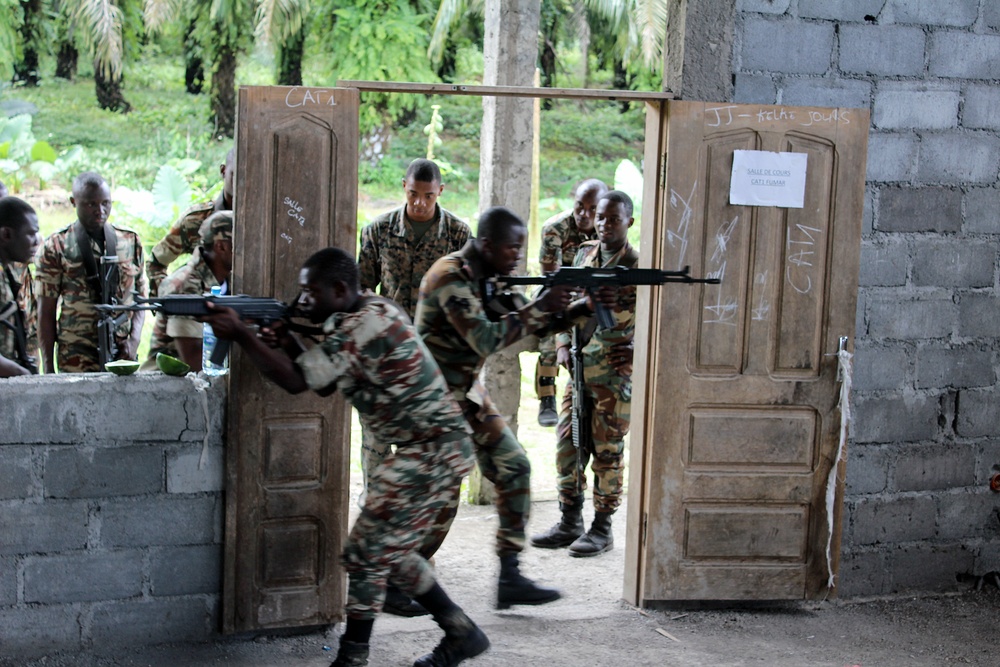 Cameroon, U.S. work together to combat illicit trafficking