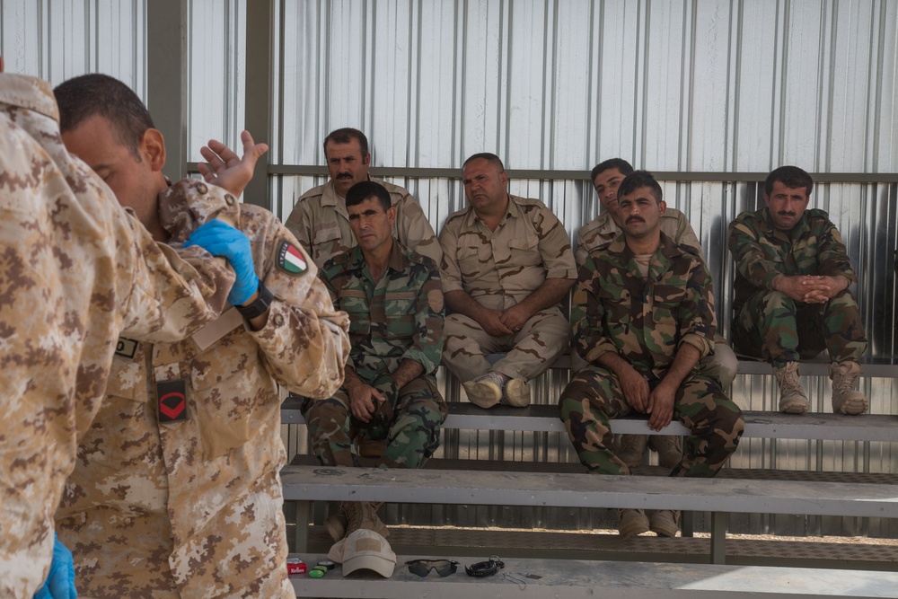 Peshmerga Counter-IED Training