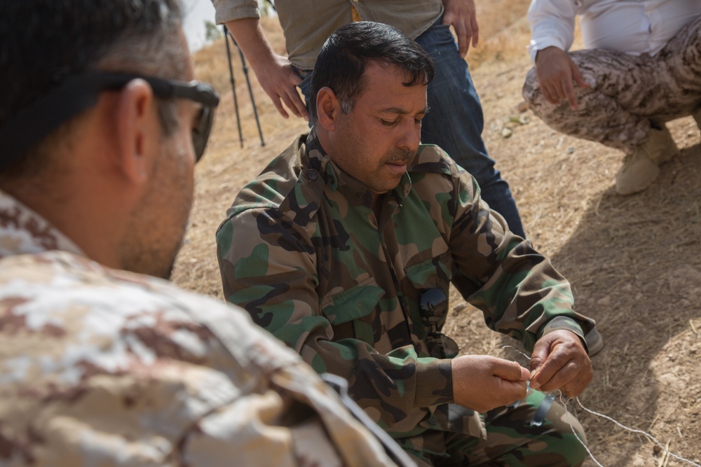 Peshmerga Counter-IED Training