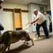 75th SFS Airmen, K-9s receive explosives training
