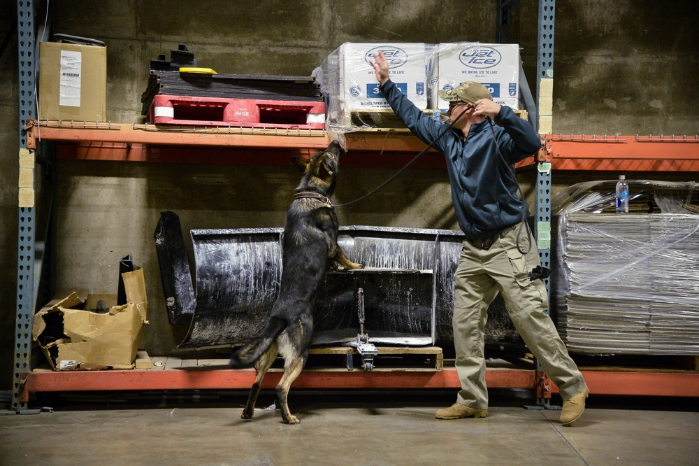 75th SFS Airmen, K-9s receive explosives training