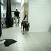 75th SFS Airmen, K-9s receive explosives training