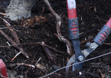 DPAA in the Dolomites