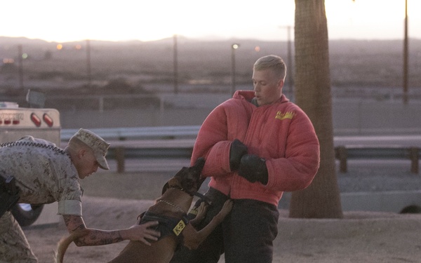 Combat Center PMO hosts Night Out Against Crime