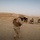 2/7 aids Iraqi security