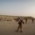 2/7 aids Iraqi security