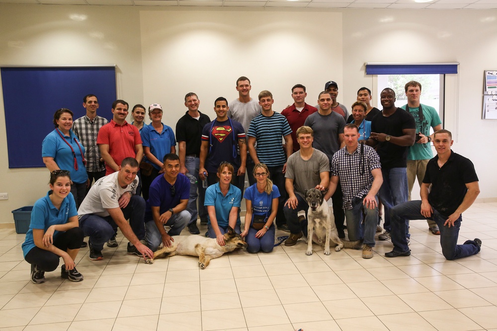 22nd MEU Marines, Whidbey Island Sailors Participate in Community Relations Event in Dubai