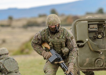 2nd Cavalry Regiment, National Guard Soldiers, NATO troops unify at Slovak Shield 2016