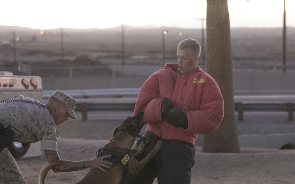 Combat Center PMO hosts Night Out Against Crime