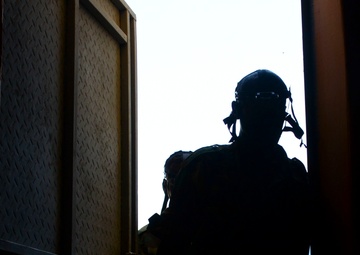 FAD troops learn to see in the dark