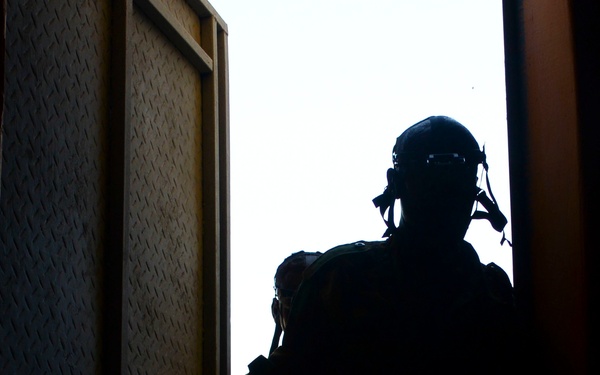 FAD troops learn to see in the dark