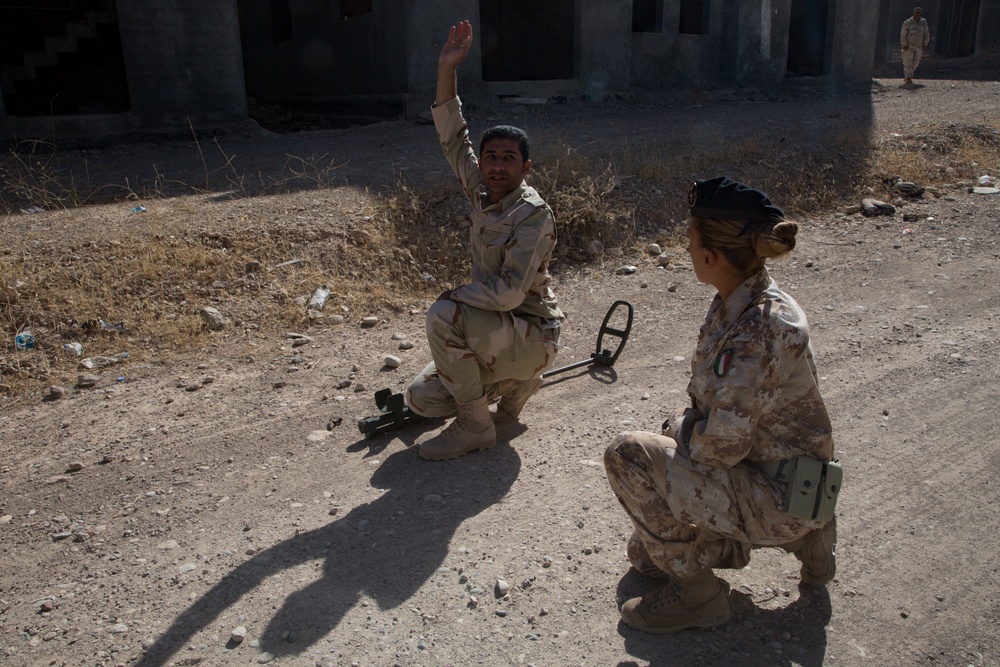 Peshmerga conduct counter-IED training