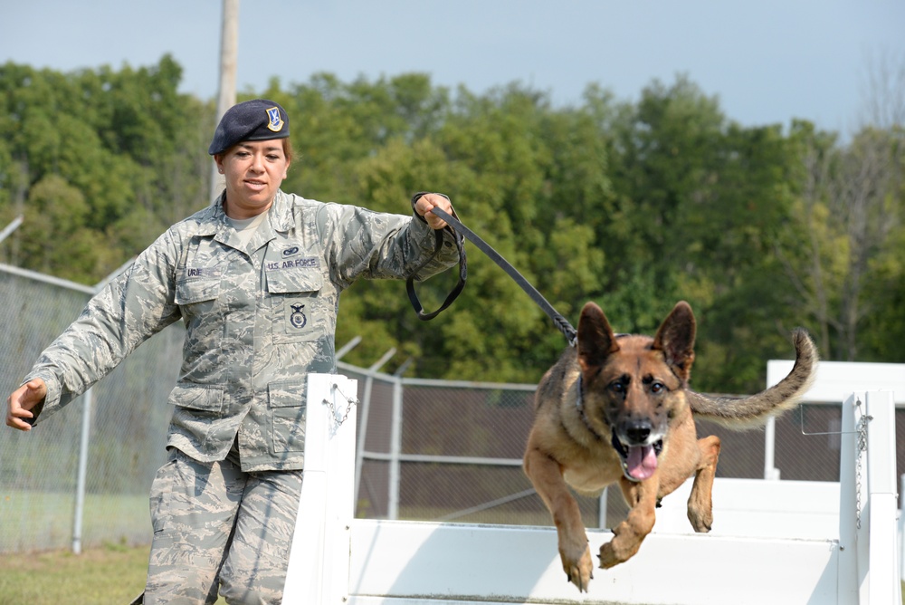 88th Security Force Squadron Working Dog