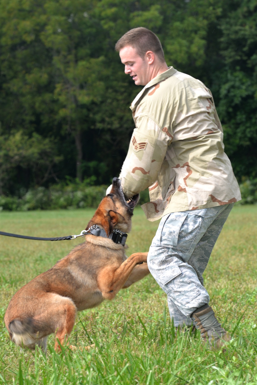 Air Force Military Working Dog Takedown