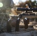 Scout Sniper Live Fire