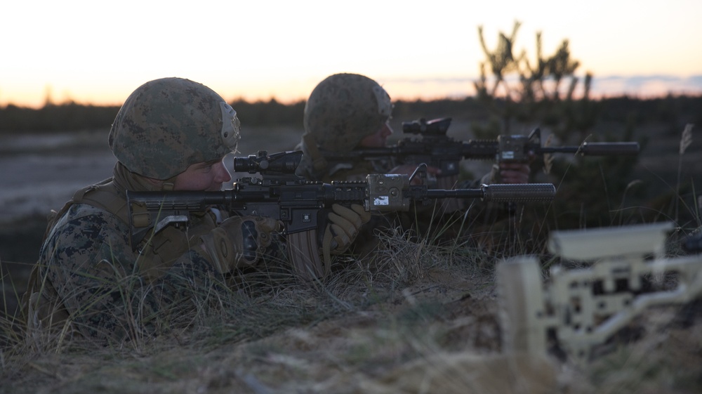 Scout Sniper Live Fire