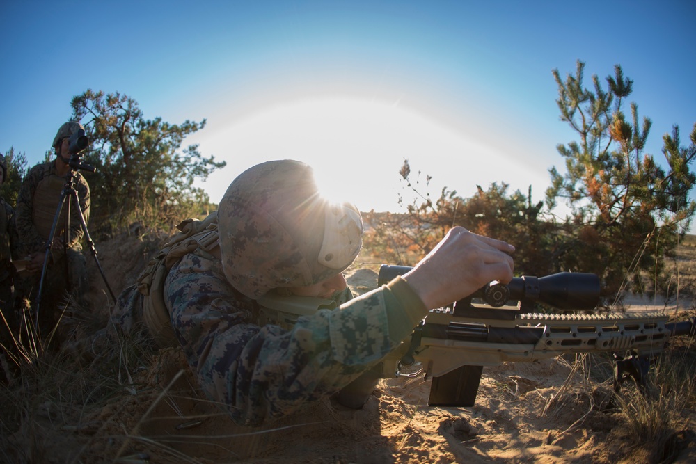 Scout Sniper Live Fire