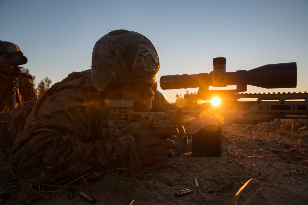 Scout Sniper Live Fire