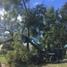 NMCB 1 provides assistance after Hurricane Matthew in Jacksonville