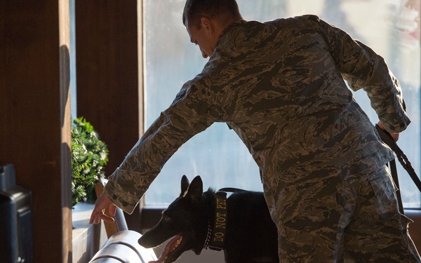 JBER military working dog teams hone their capabilities during annual certification