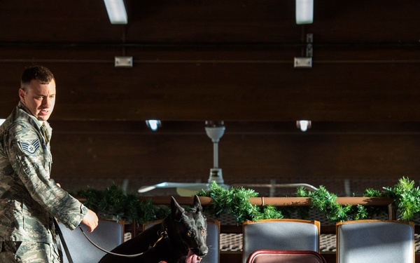 JBER military working dog teams hone their capabilities during annual certification