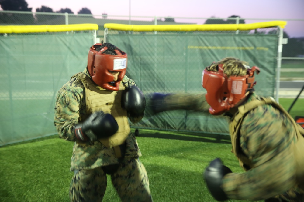 Hooking and jabbing, slashing and stabbing: Marines in Italy earn their brown belt