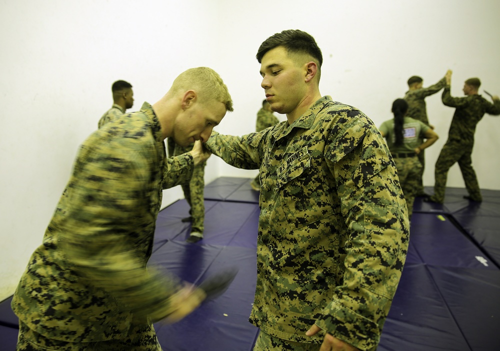 Hooking and jabbing, slashing and stabbing: Marines in Italy earn their brown belt