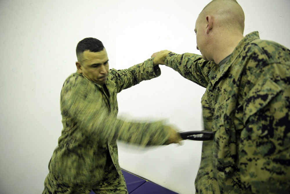 Hooking and jabbing, slashing and stabbing: Marines in Italy earn their brown belt