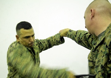 Hooking and jabbing, slashing and stabbing: Marines in Italy earn their brown belt