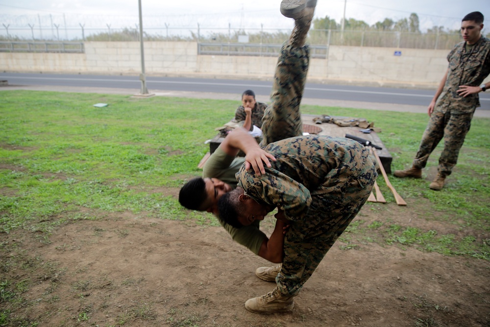 Hooking and jabbing, slashing and stabbing: Marines in Italy earn their brown belt